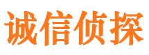 天元市侦探公司